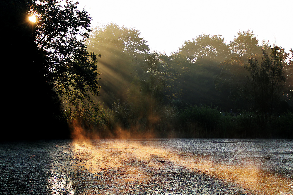 Lichtstrahlen morgens am Weiher