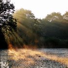 Lichtstrahlen morgens am Weiher