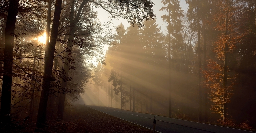 "Lichtstrasse"