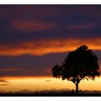 Lichtstreif am Horizont