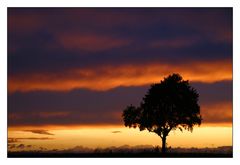 Lichtstreif am Horizont