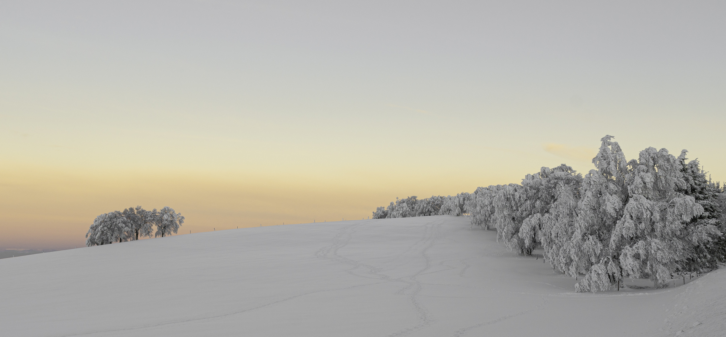 Lichtstreif am Horizont