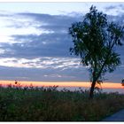 Lichtstreif am Horizont