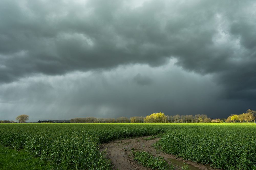 Lichtstreif am Horizont