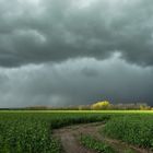 Lichtstreif am Horizont