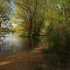 Lichtstreif am Ufer