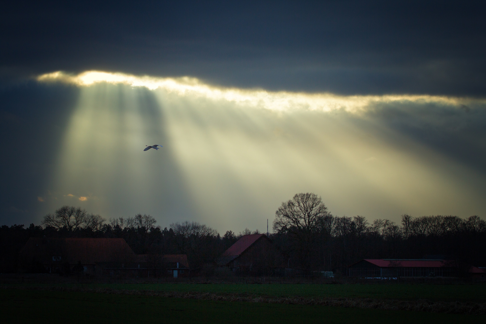 Lichtstreifen