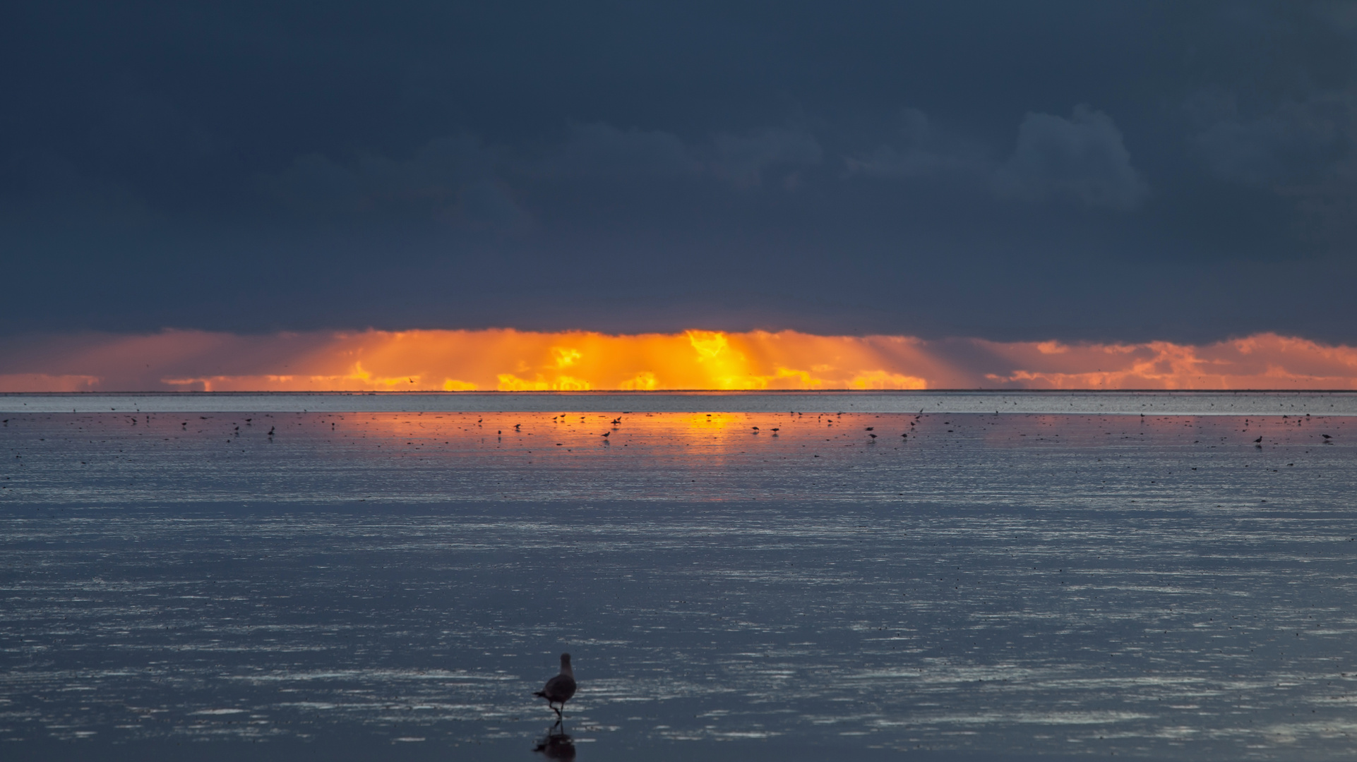 Lichtstreifen