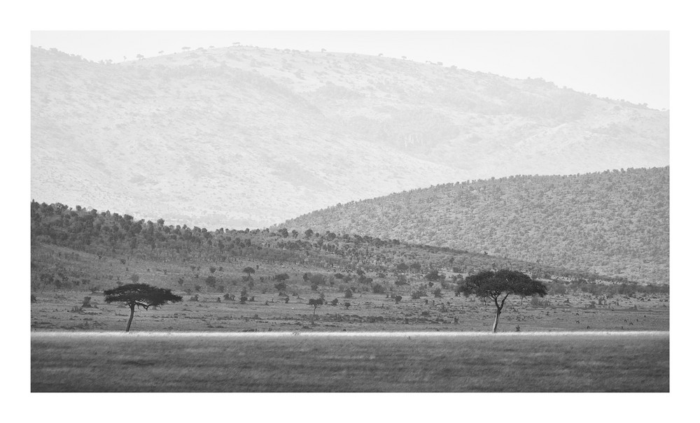 Lichtstreifen im Masai Mara