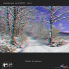 Lichttherapie 1  Winter im Spessart  VollHD - Anaglyphe