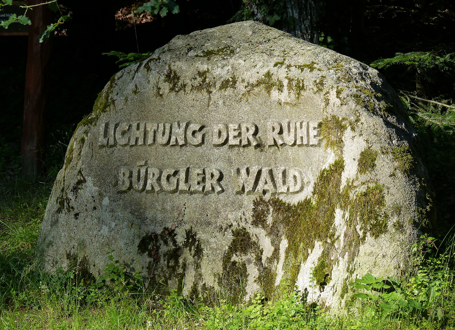 Lichtung der Ruhe - Bürgler Wald