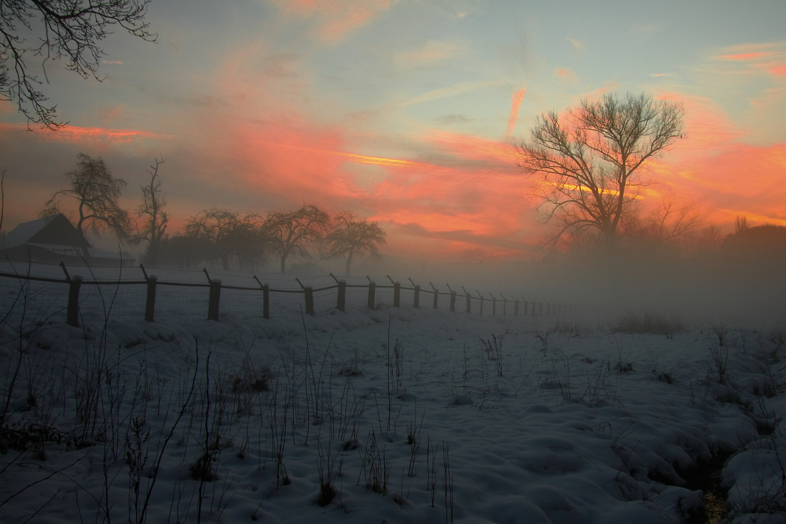 Lichtung im Winterlicht