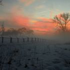 Lichtung im Winterlicht