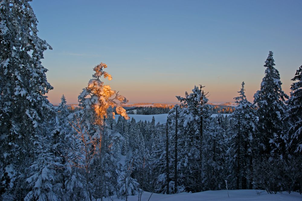 Lichtwärme im kalten Winter von Ettlin Markus 