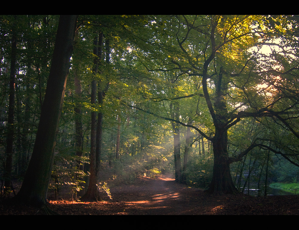 Lichtweg.