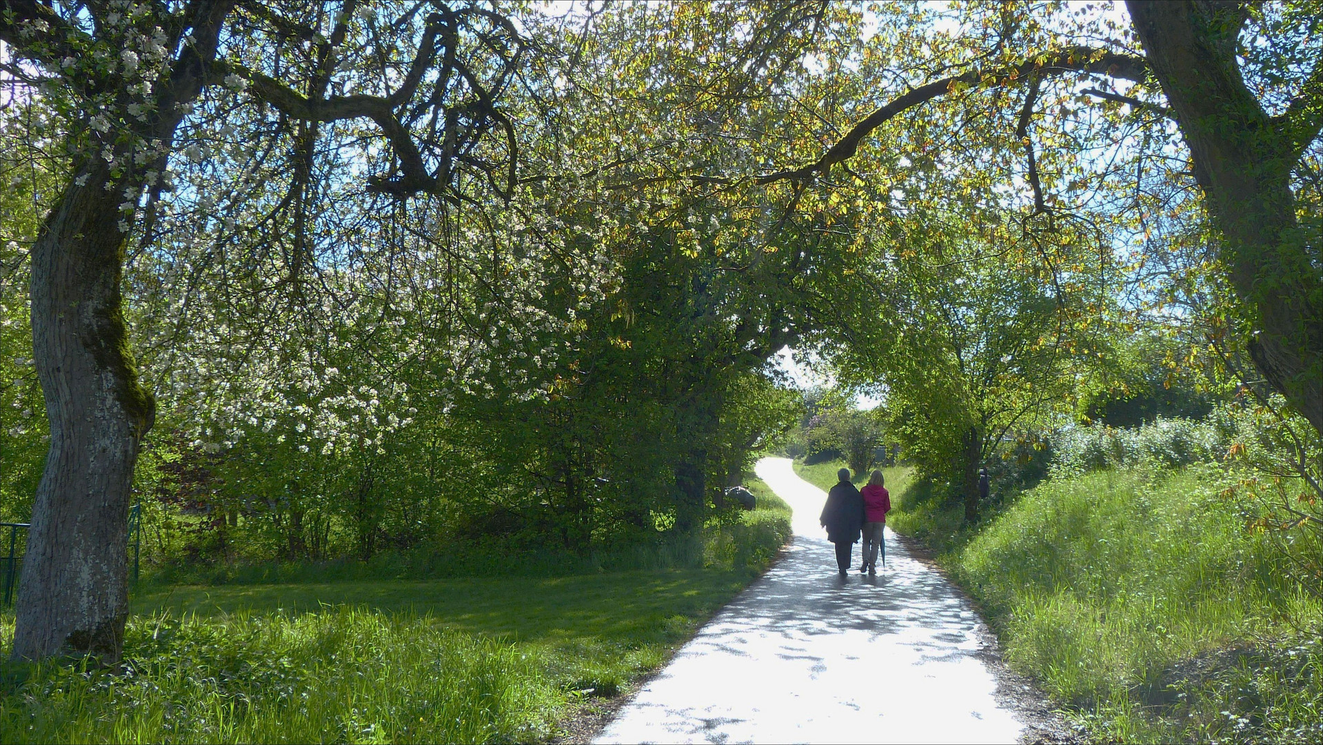 Lichtweg