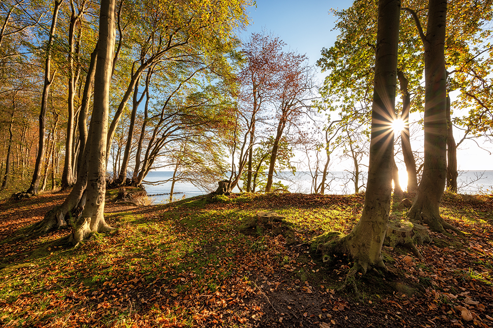 Lichtweg an der Ostsee