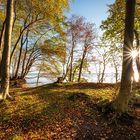 Lichtweg an der Ostsee