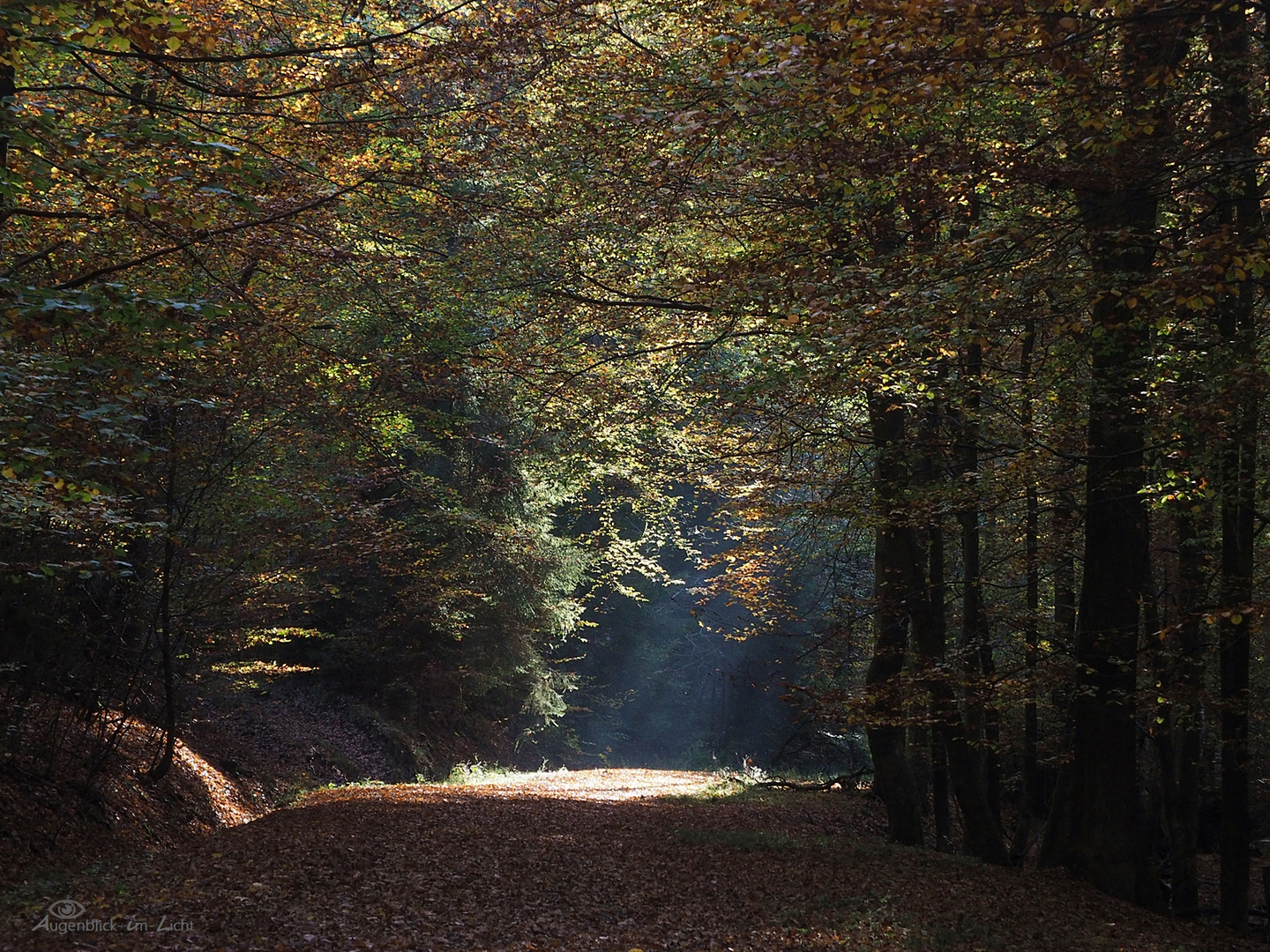 Lichtweg...