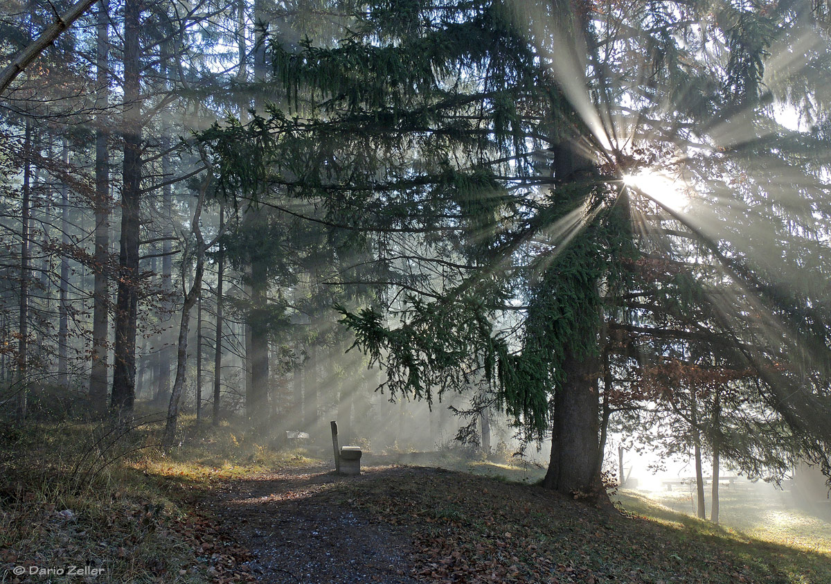 Lichtzauber