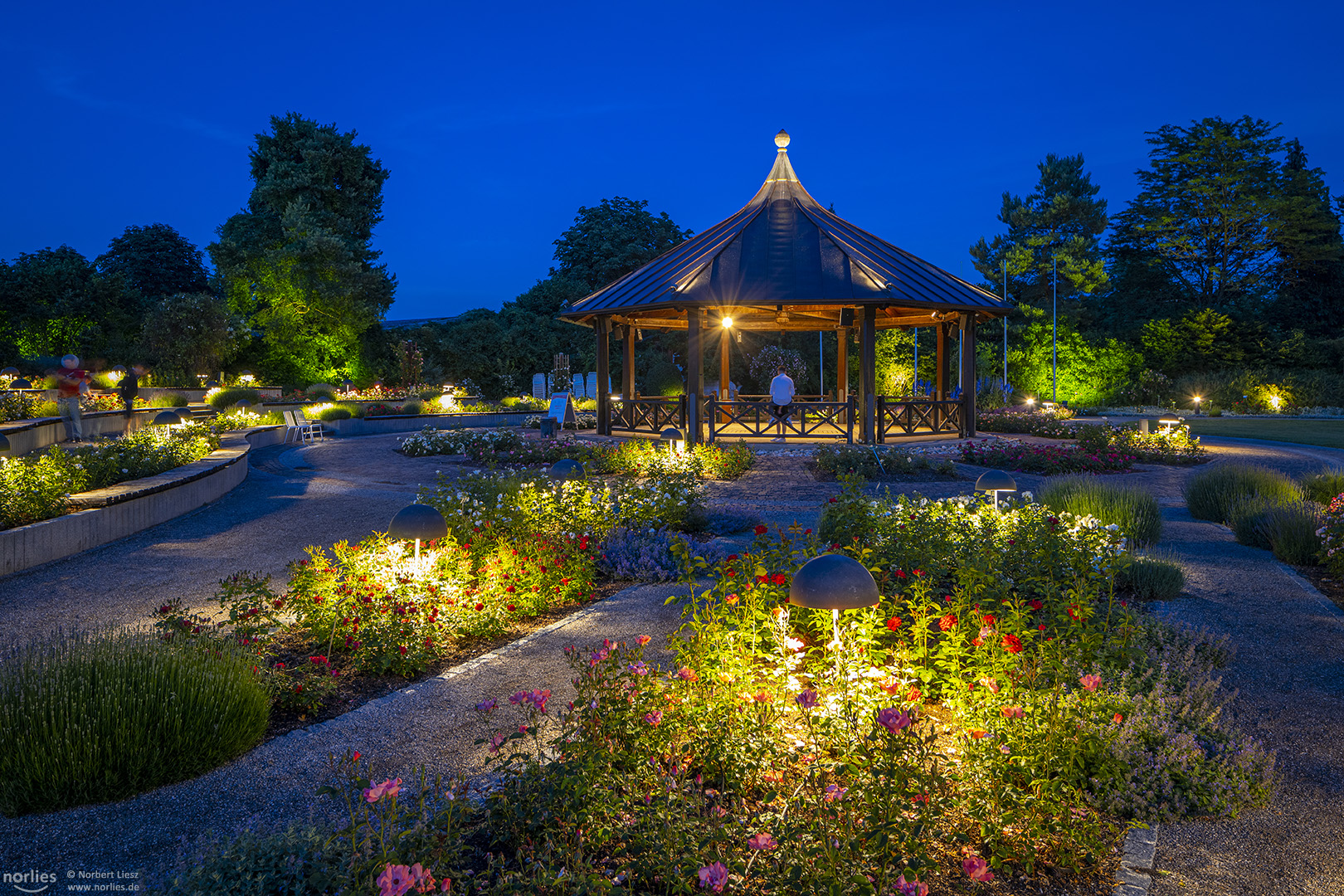 Lichtzauber am Rosenpavillon