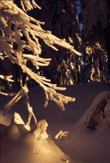 Lichtzauber im Bayerischen Wald