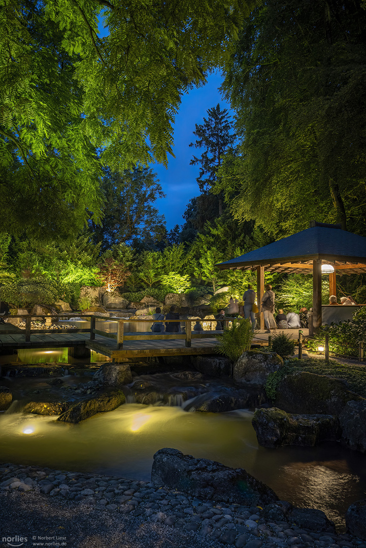 Lichtzauber im Japangarten