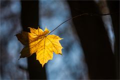 … Lichtzeichen für Rotkäppchen … 