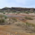 lidl strand strand dunes section