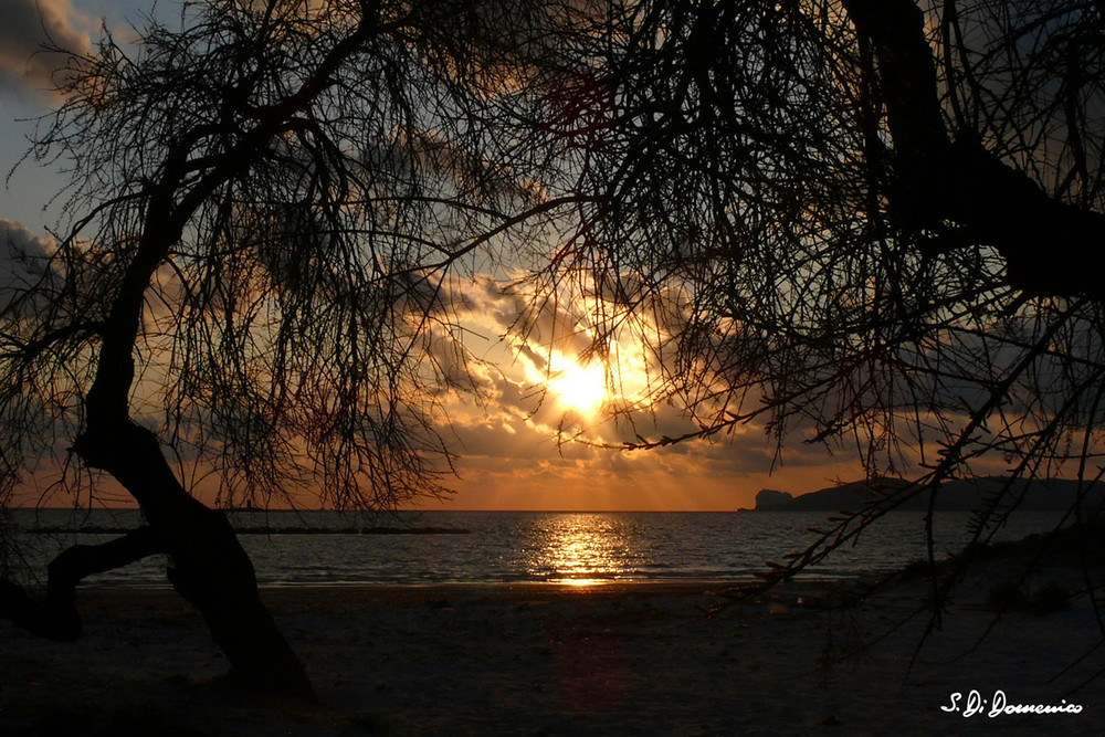 lido di Alghero 2