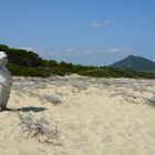 Lido Tamatete - Sardinien IV