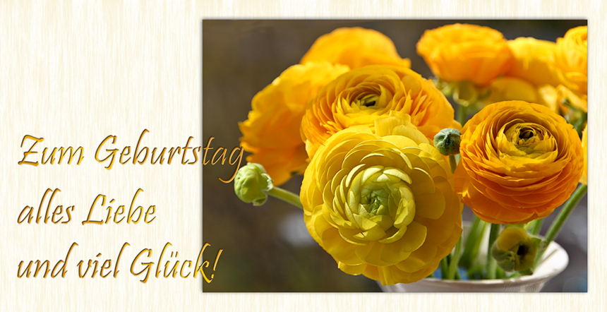 Liebe Anne Foto & Bild gratulation und feiertage, geburtstag, karten