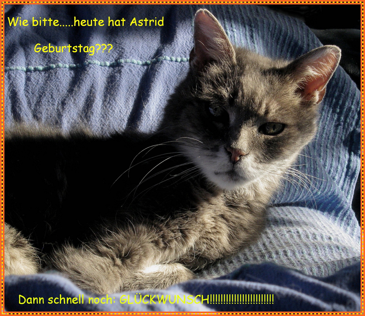 Liebe Astrid...