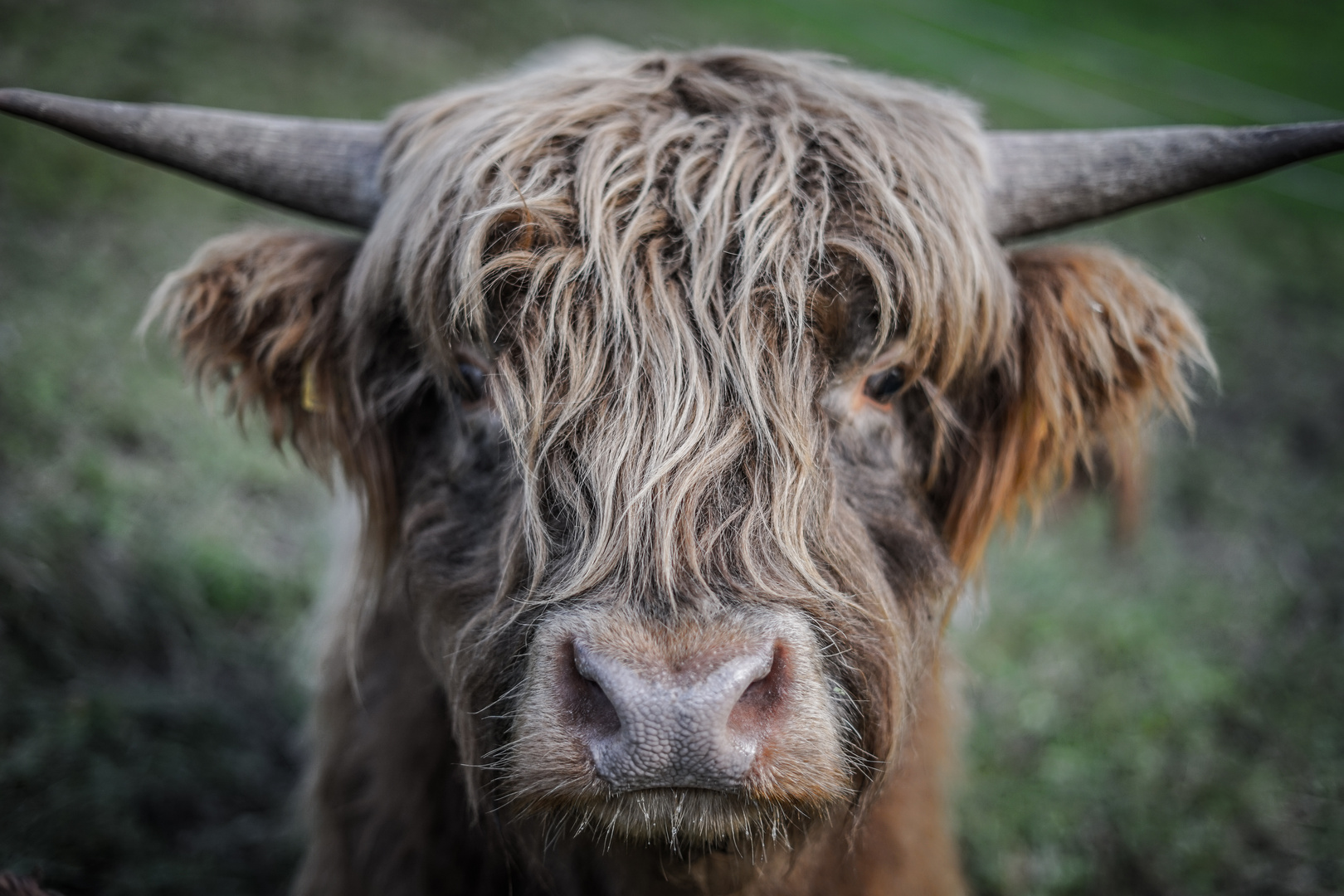 Liebe auf den ersten Blick