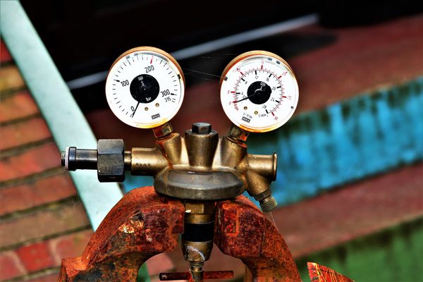 Liebe auf den ersten Blick