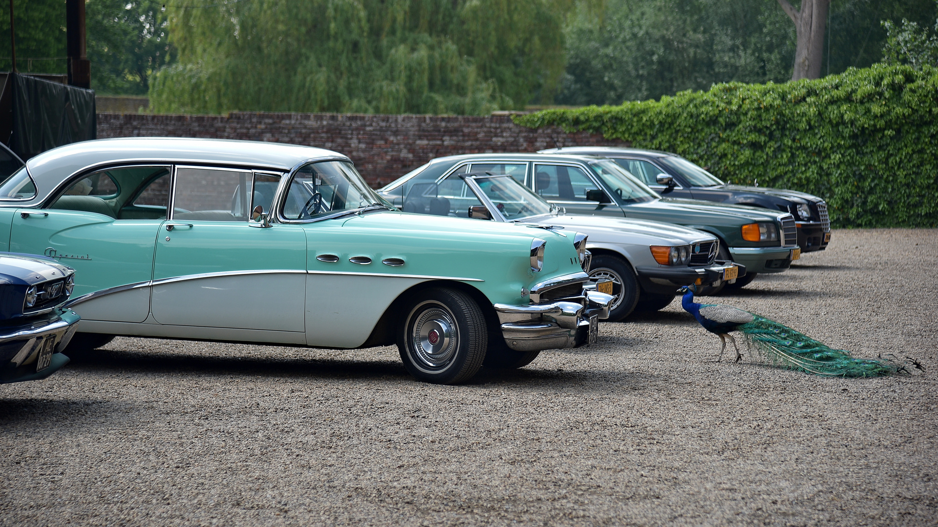 Liebe auf den ersten Blick - BUICK SPECIAL 1956