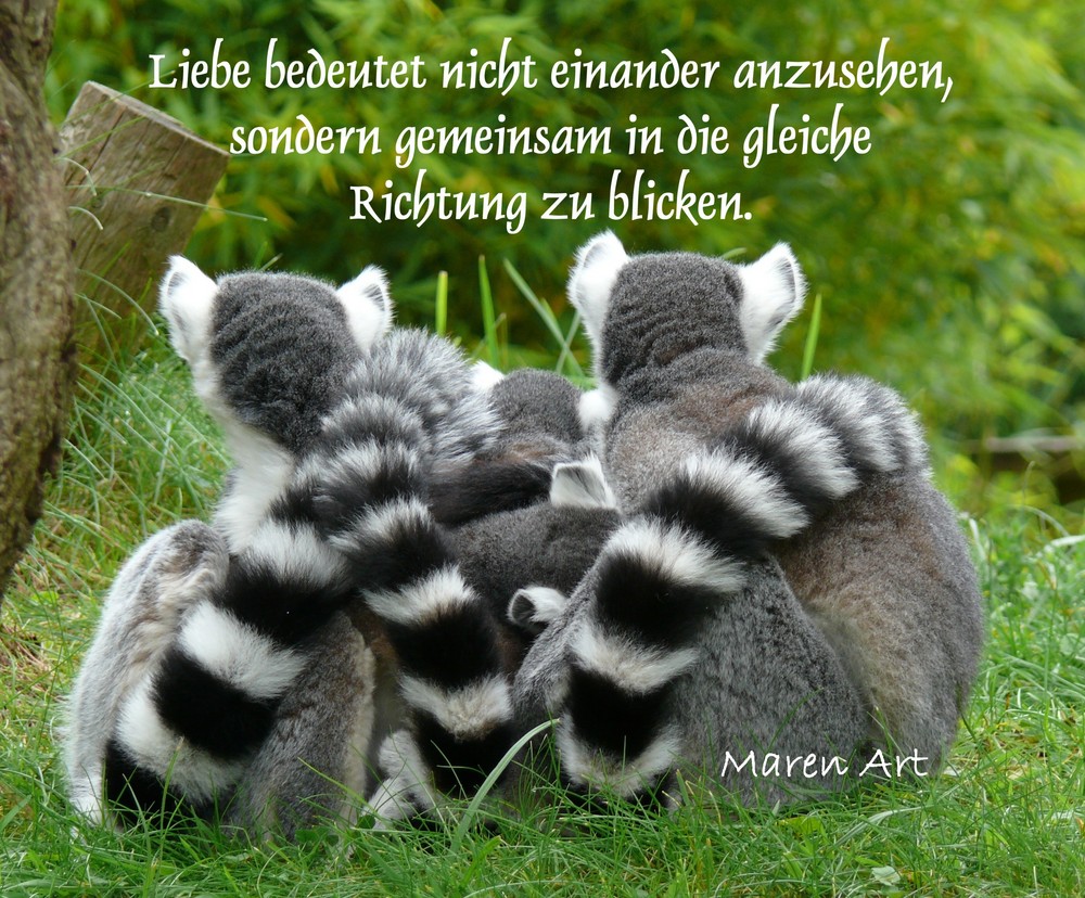 Liebe bedeutet....