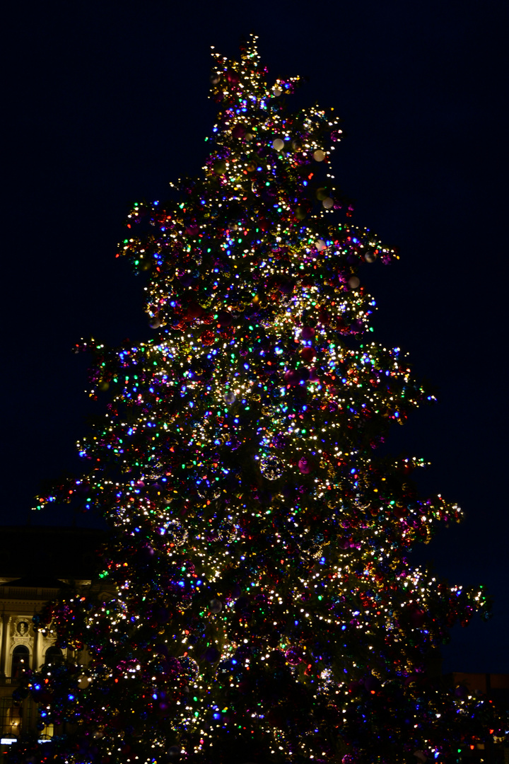 Liebe Community Wir Wunschen Schone Weihnachten Foto Bild Gratulation Und Feiertage Weihnachten Christmas Spezial Bilder Auf Fotocommunity