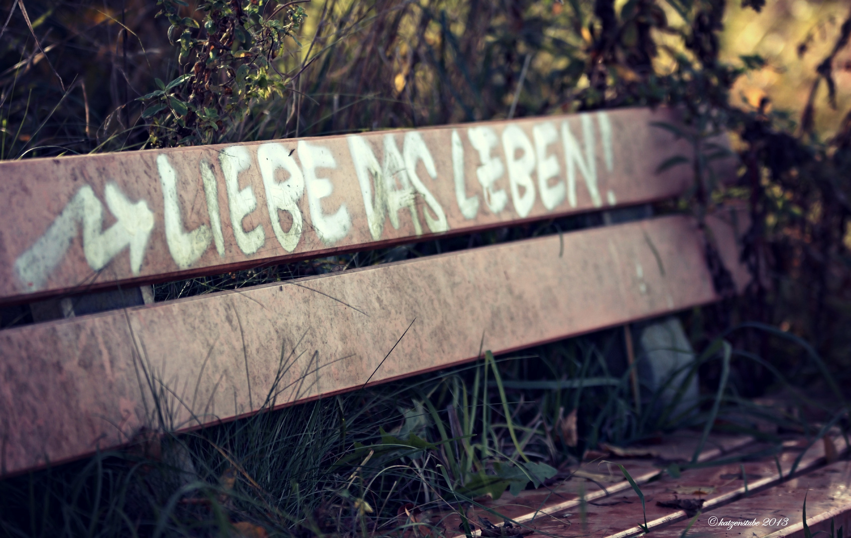 °Liebe das Leben°