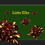 Liebe Elke