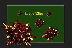 Liebe Elke