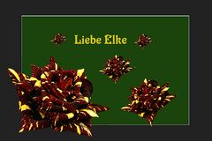 Liebe Elke