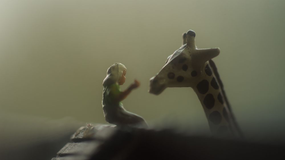 Liebe findet immer einen Weg Foto & Bild stillleben, emotionen, liebe Bilder auf