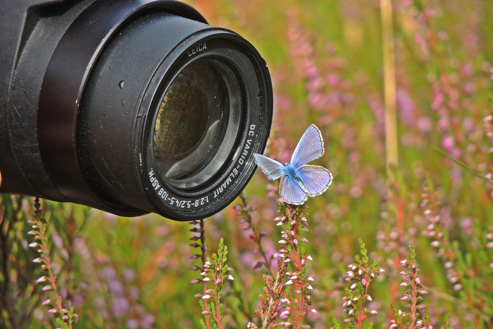 Liebe Fotofreunde...