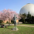 Liebe, Frühling und das in Berlin