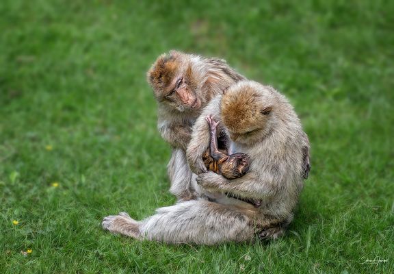 Liebe & Geborgenheit