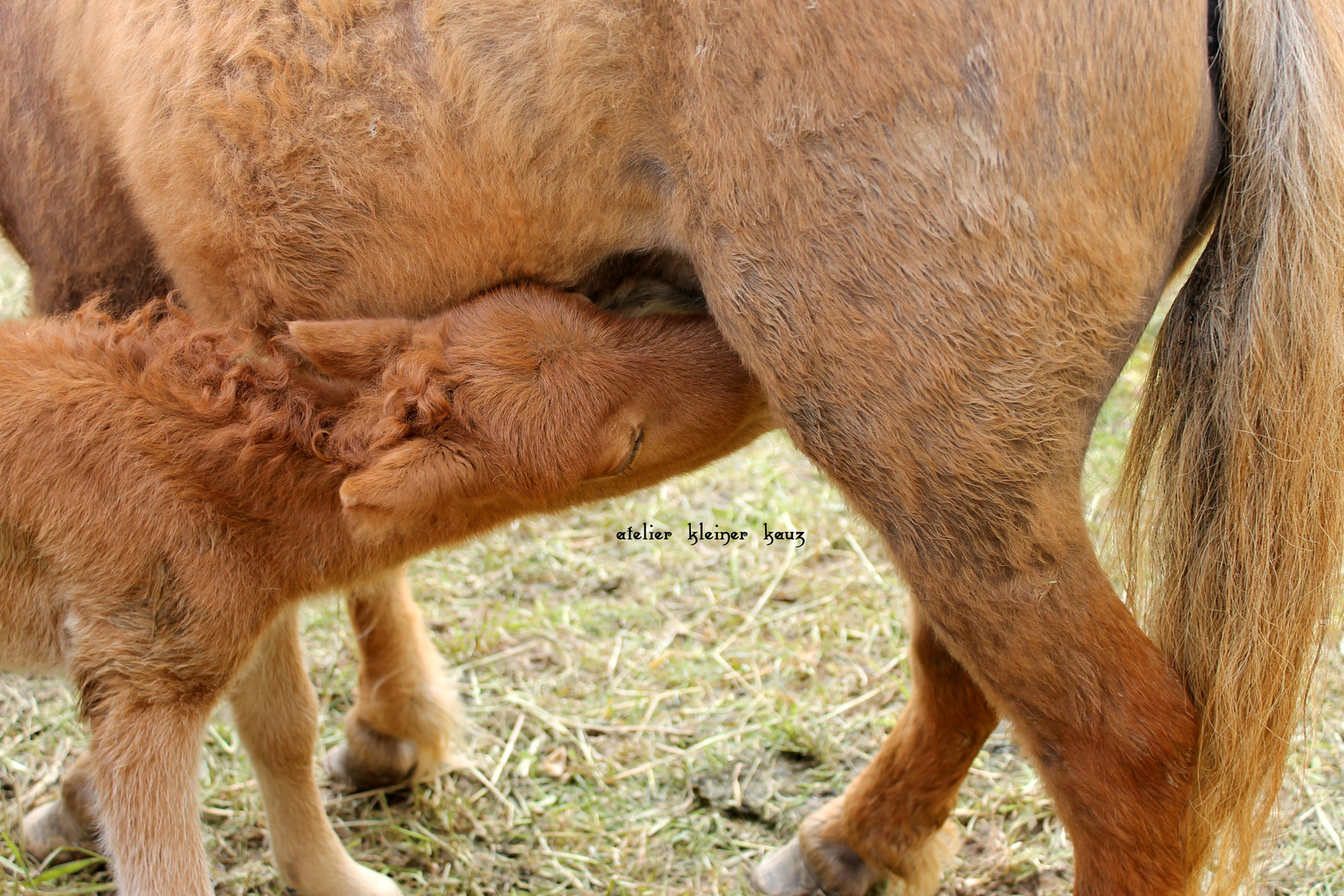 Liebe & Geborgenheit