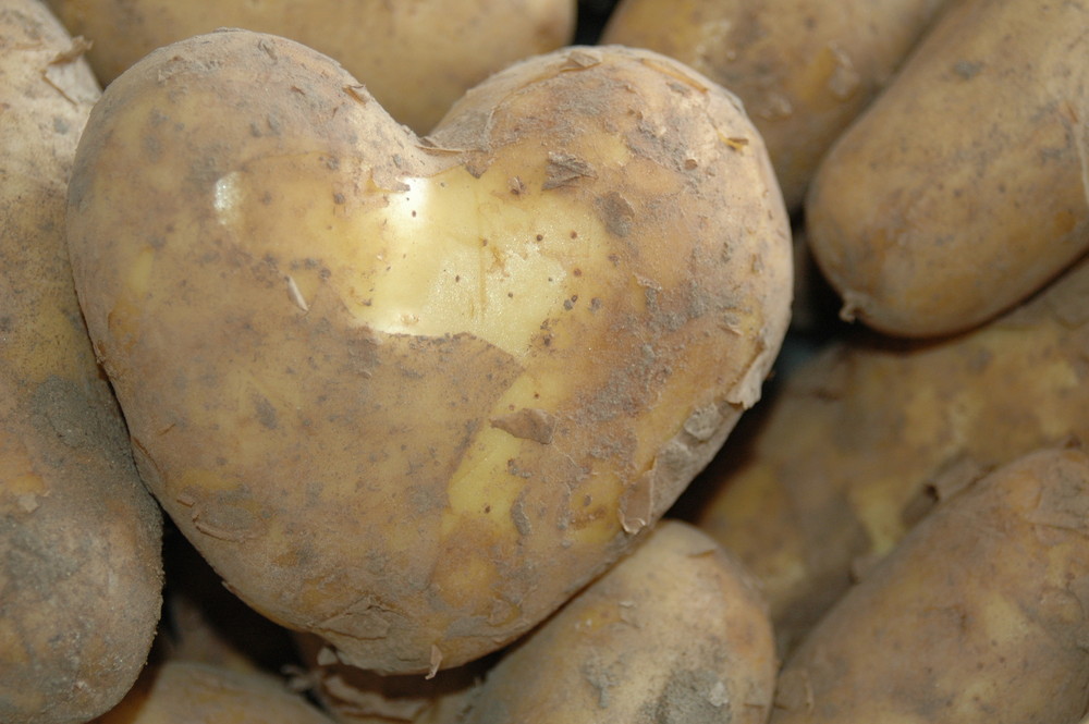 Liebe geht durch den Magen - Kartoffeln mit Herz