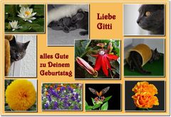 Liebe Gitti