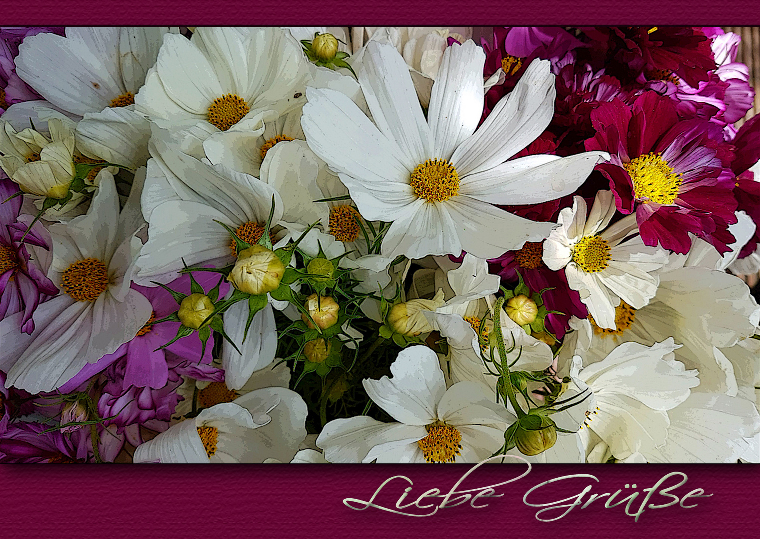 Bild Liebe Bild Liebe